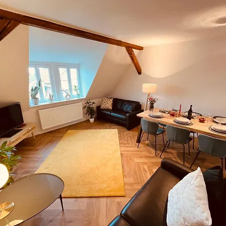 Jugendstil-altbauwohnung Mit Dachterrasse Direkt An Der Karlsaue