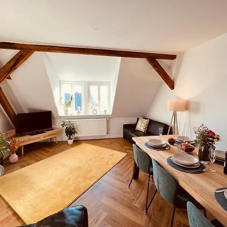Jugendstil-altbauwohnung Mit Dachterrasse Direkt An Der Karlsaue