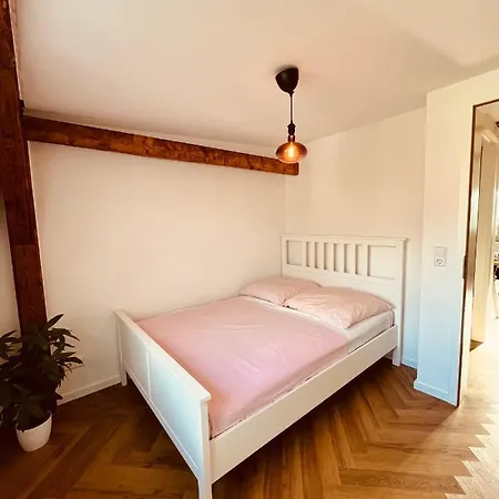 Jugendstil-altbauwohnung Mit Dachterrasse Direkt An Der Karlsaue *