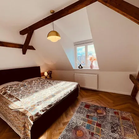 Jugendstil-altbauwohnung Mit Dachterrasse Direkt An Der Karlsaue Apartment Kassel